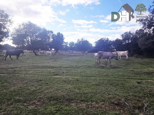 Terreno Urbanizable En venta en Provincia, Salamanca photo 0