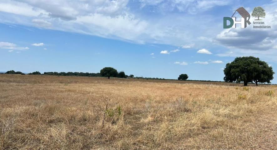 Terreno Urbanizable En venta en Cáceres, Cáceres photo 0