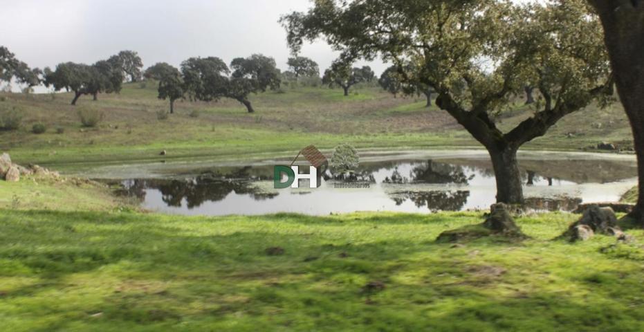 Terreno Urbanizable En venta en Cáceres, Cáceres photo 0
