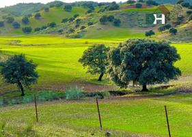 Terreno Urbanizable En venta en Provincia, Sevilla photo 0