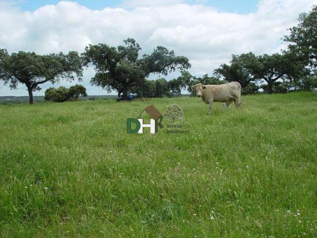 Terreno Urbanizable En venta en Badajoz, Badajoz photo 0