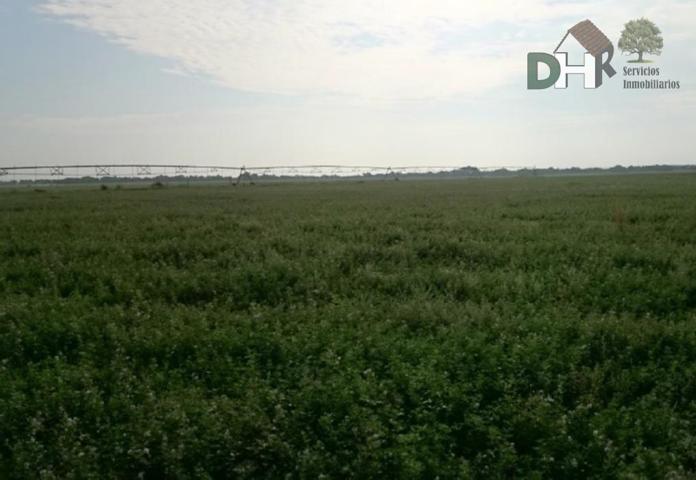Terreno Urbanizable En venta en Provincia, Toledo photo 0