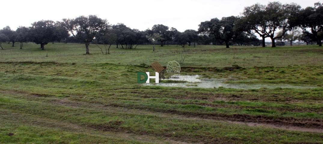Terreno Urbanizable En venta en Cáceres, Cáceres photo 0