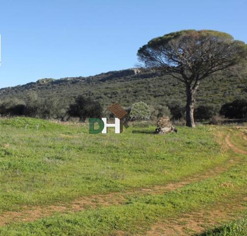 Terreno Urbanizable En venta en Ciudad Real, Ciudad Real photo 0