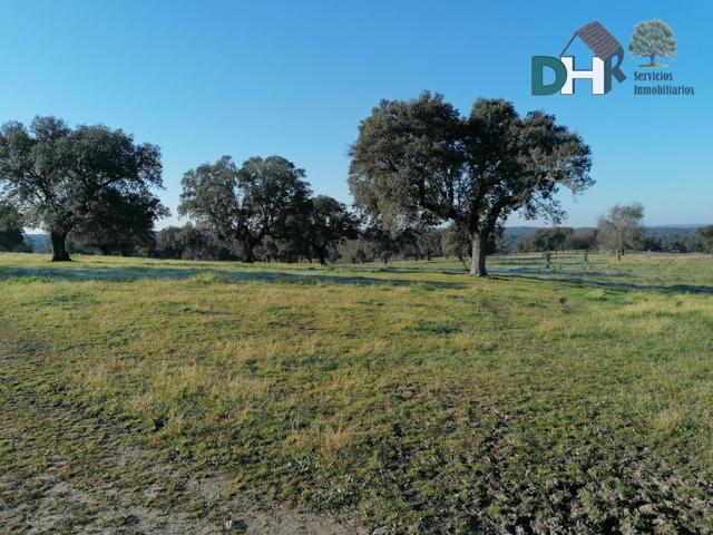 Terreno Urbanizable En venta en Cáceres, Cáceres photo 0