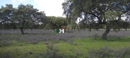 Terreno Urbanizable En venta en Cáceres, Cáceres photo 0