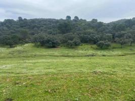 Terreno Urbanizable En venta en Córdoba, Córdoba photo 0