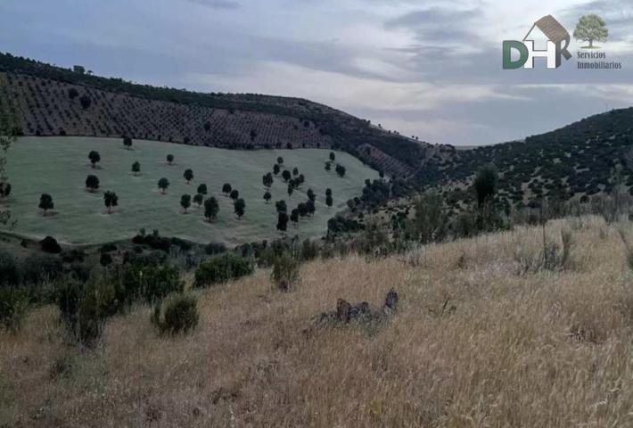 Terreno Urbanizable En venta en Ciudad Real, Ciudad Real photo 0