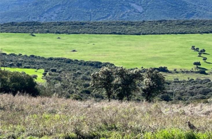 Terreno Urbanizable En venta en Ciudad Real, Ciudad Real photo 0