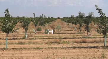 Terreno Urbanizable En venta en Ciudad Real, Ciudad Real photo 0