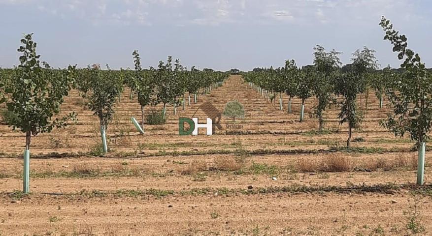 Terreno Urbanizable En venta en Ciudad Real, Ciudad Real photo 0