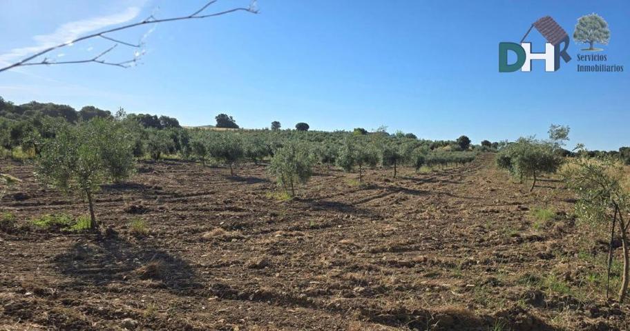 Terreno Urbanizable En venta en Mérida, Mérida photo 0