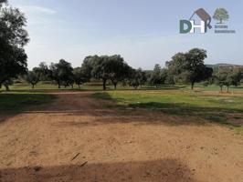 Terreno Urbanizable En venta en Badajoz, Badajoz photo 0