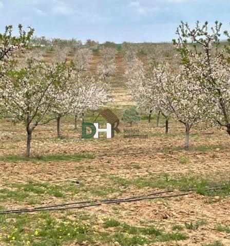 Terreno Urbanizable En venta en Provincia, Toledo photo 0