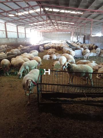 Terreno Urbanizable En venta en Provincia, Toledo photo 0