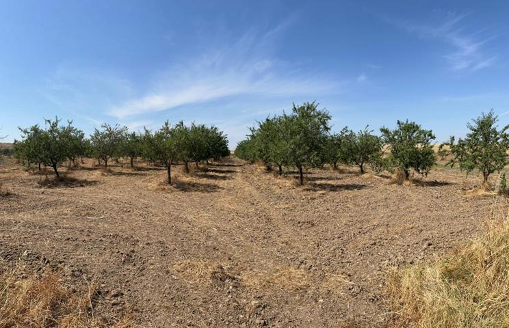 Terreno Urbanizable En venta en Provincia, Toledo photo 0