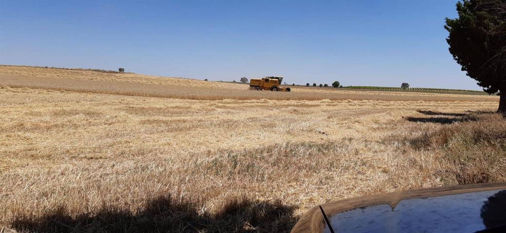 Terreno Urbanizable En venta en Provincia, Toledo photo 0