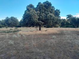 Terreno Urbanizable En venta en Ávila, Ávila photo 0