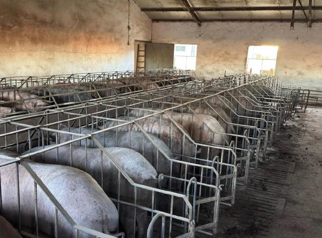 Terreno Urbanizable En venta en Provincia, Valladolid photo 0