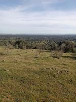 Terreno Urbanizable En venta en Provincia, Toledo photo 0