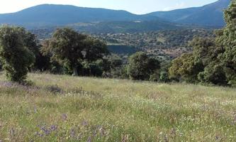 Terreno Urbanizable En venta en Provincia, Toledo photo 0