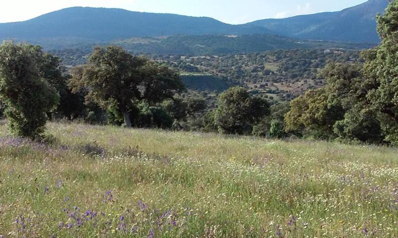 Terreno Urbanizable En venta en Provincia, Toledo photo 0