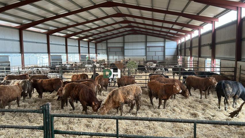 Terreno Urbanizable En venta en Ávila, Ávila photo 0