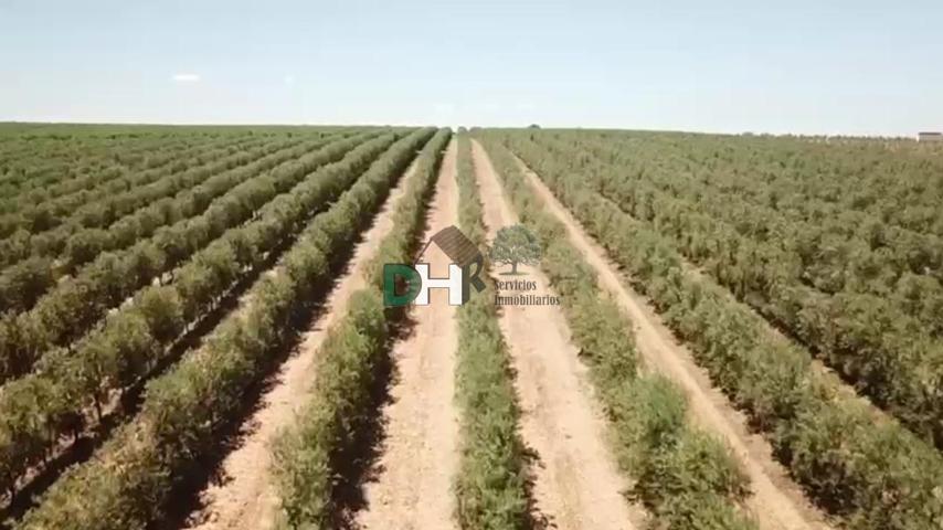 Terreno Urbanizable En venta en Mérida, Mérida photo 0