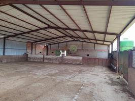 Terreno Urbanizable En venta en Provincia, Salamanca photo 0