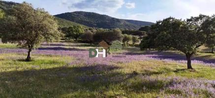 Terreno Urbanizable En venta en Ciudad Real, Ciudad Real photo 0