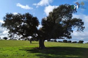 Terreno Urbanizable En venta en Provincia, Salamanca photo 0