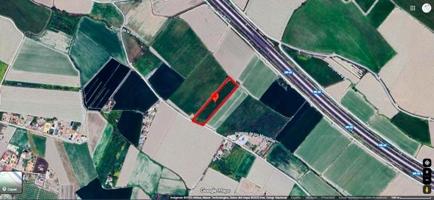 Finca Rústica de Regadío photo 0