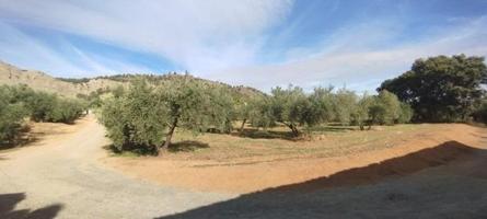 Finca Rústica photo 0