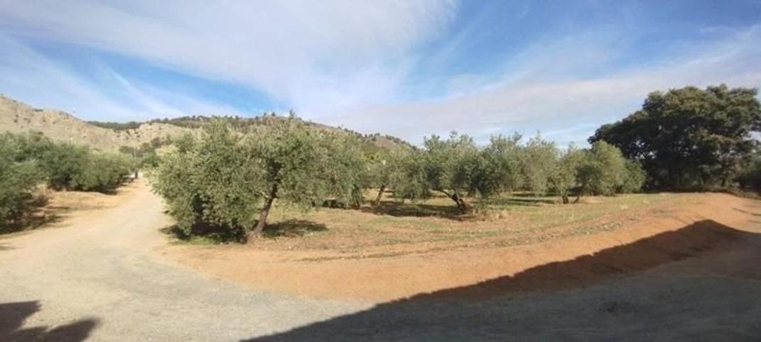 Finca Rústica photo 0