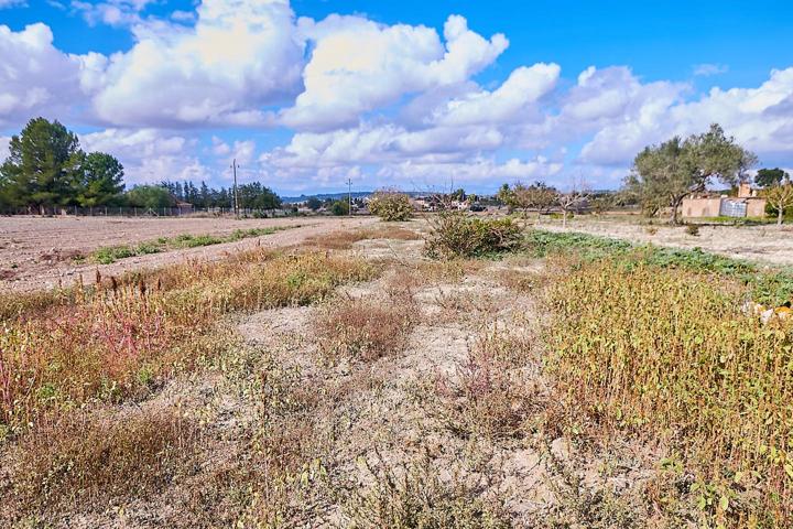 Finca rústica con casa para reformar de 110 m2 con electricidad y agua de pozo propio photo 0