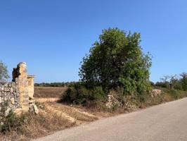 SE VENDE SOLAR EN SON LLUCMAJOR photo 0
