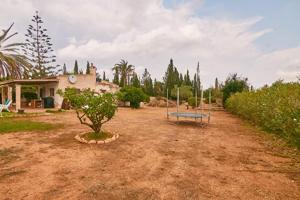 Finca rustica con 118 m2. en Llucmajor photo 0