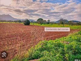 Solar de 40.000m2 en Felanitx photo 0