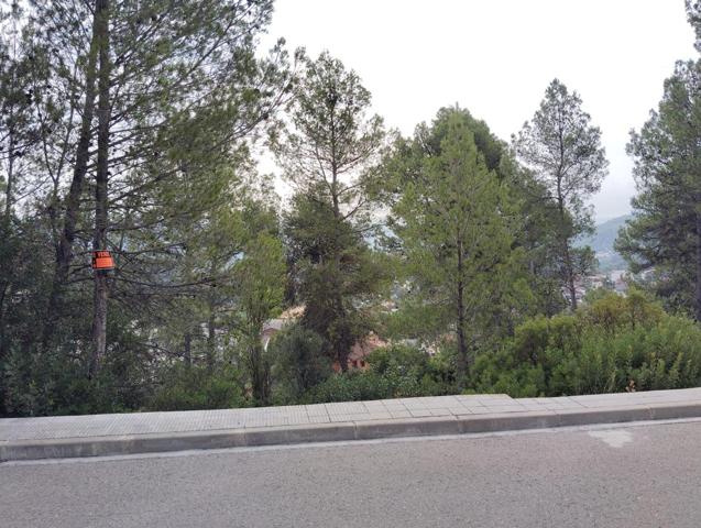 TERRENO EN VENTA EN CASTELLGALÍ photo 0