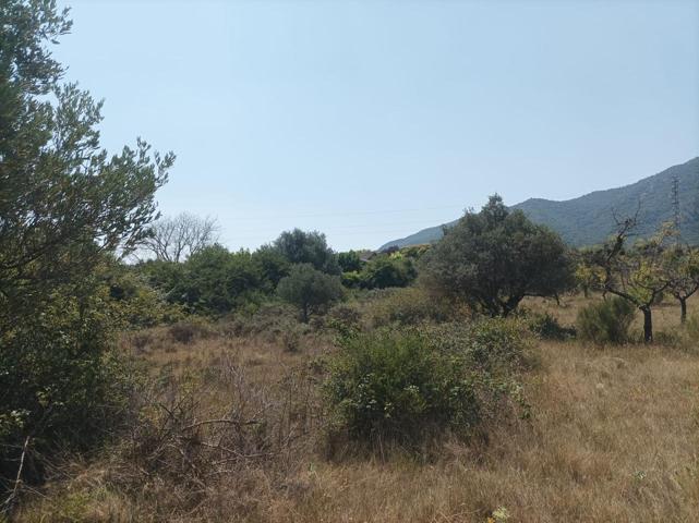 Parcela en venta en Ayegui, Navarra photo 0