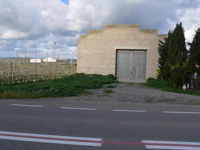 NAVE INDSUTRIAL + PLANTACIÓN DE FRUTALES photo 0