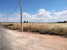 Se vende parcela a 2 km de Villarrobledo photo 0