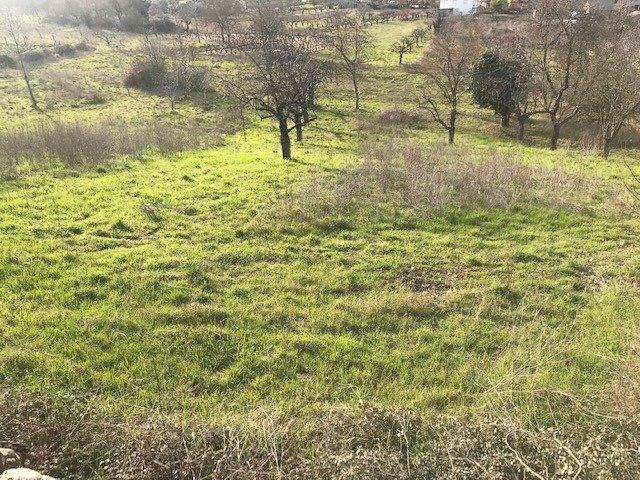 SE VENDE FINCA RUSTICA EN TORAL DE MERAYO. photo 0