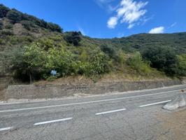 SE VENDE FINCA RUSTICA DE 79.900 M2 EN VILLAFRANCA DEL BIERZO photo 0