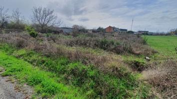 SE VENDE FINCA RÚSTICA EN CUBILLOS DEL SIL photo 0