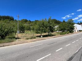 OPORTUNIDAD DE ADQUIRIR UN TERRENO EN UNA DE LAS ZONAS RURALES MAS DEMANDADAS DEL BIERZO photo 0