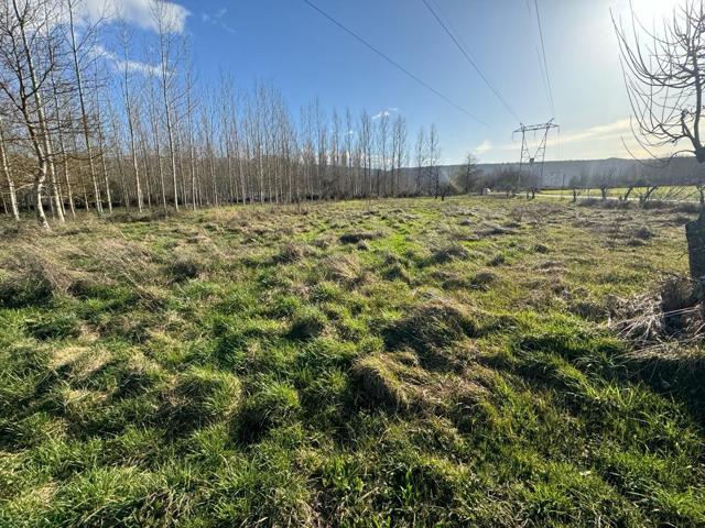 SE VENDE FINCA RÚSTICA EN DEHESAS photo 0