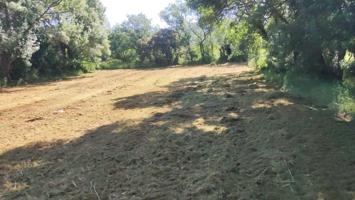 SE VENDE SOLAR DE 1700M2 EN CABAÑAS DE LA DORMILLA photo 0