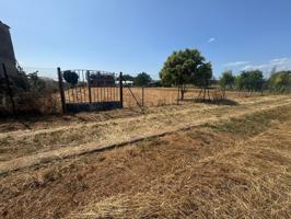 SE VENDE FINCA RUSTICA EN COLUMBRIANOS - FUENTESNUEVAS CON CASETA DE APEROS photo 0