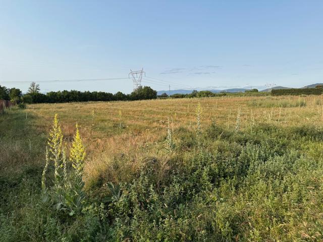 SE VENDE FINCA RUSTICA EN LAS CHANAS DE CAMPONARAYA photo 0